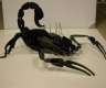 Deko Skorpion 3D-Steckmodell aus...
